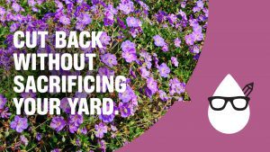 Pink flowers in bloom with the text "cut back without sacrificing your yard". 