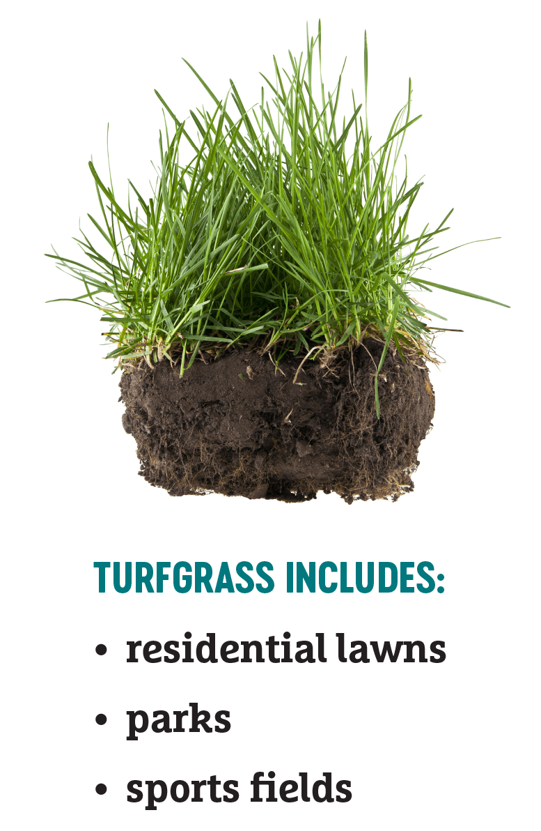 turf-with-text