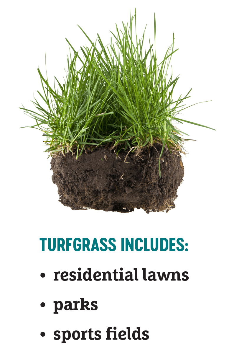 turf-with-text turf-with-text