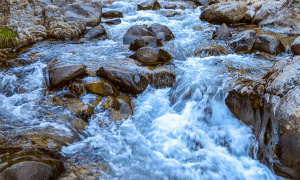 Water flowing in a creek with rocks