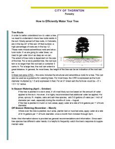 How to efficiently water trees