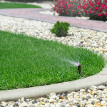 Sprinkler head spraying grass