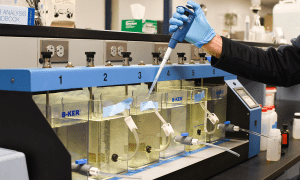 Person testing water supplies in a lab