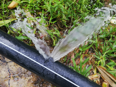 Closeup of broken sprinkler line spraying water