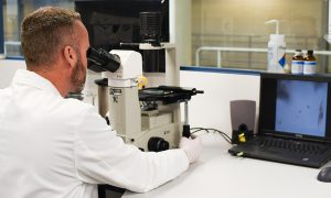 Scientist looking at a test slide under a microscope