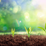 Water dripping off fingers onto a growing plant graphic