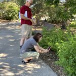 A woman taking a picture of a plant along a path