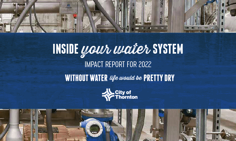 Inside Your Water System Impact Report