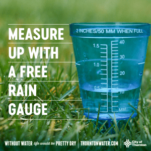 Rain gauge image