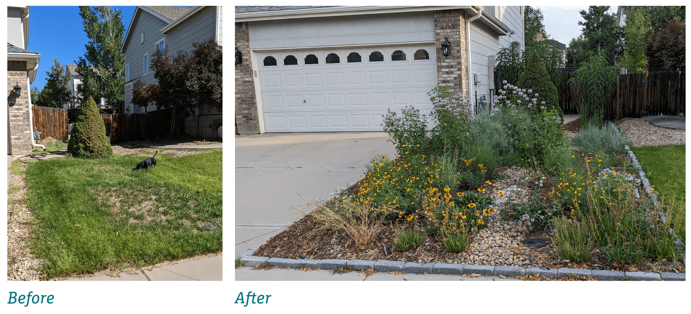 before-after