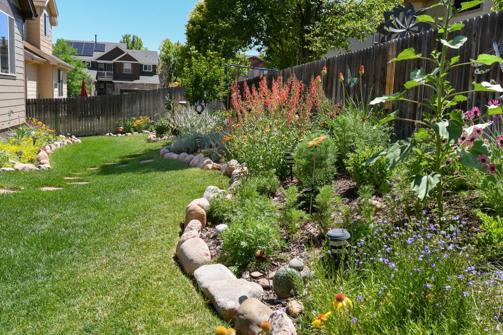 A backyard featuring a house with a narrow strip of lawn on the left is bordered by green and orange plants on the right.