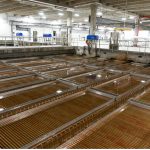 Many sets of metal bars under a shallow amount of water at a water treatment plant to filter out harmful components.