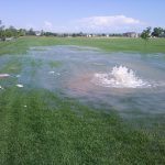 A large water leak with water spewing in the middle of a grassy park field.