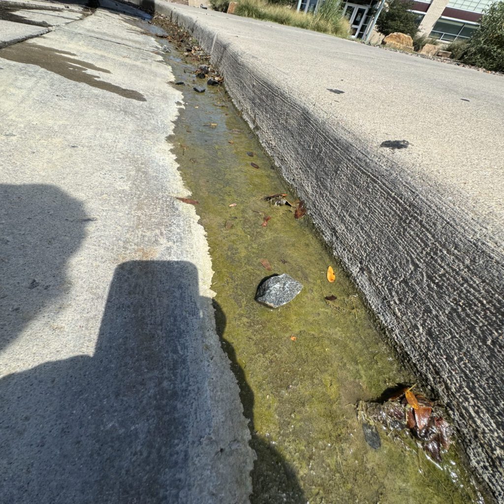 img_0318 Water flowing in pavement curb