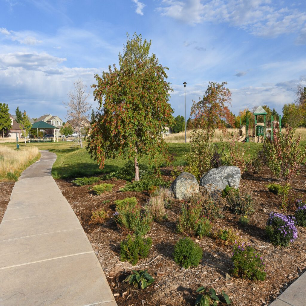 Waterwise garden at park with mulch, bushes, trees and rocks positioned next to a sidewalk leading to a grassy field