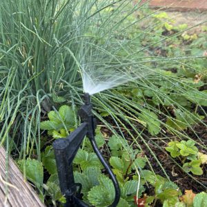 Garden box irrigation system misting small plants.