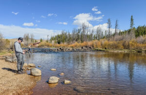 Man stands on bank of small alpine lake fishing, with trees and shrubs in the background.