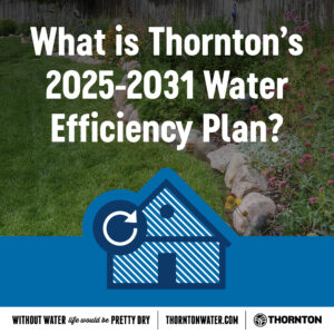 tw_efficiencyplan_slidergraphic A green lawn bordered by pink flowers with a graphic of a house and the text "What is Thornton's 2025-2031 Water Efficiency Plan?"