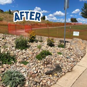 After bushes and shrubs planted into a rock bed