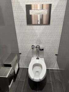 Flushometer - CII Audit Wall mounted flushometer on a plaid wall with a sanitary paper dispenser mounted above it