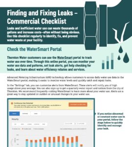 Screenshot A screenshot of the Finding and Fixing Leask commercial check list