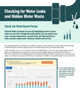 Screenshot A screenshot of the checking for water leaks and hidden water waste check list