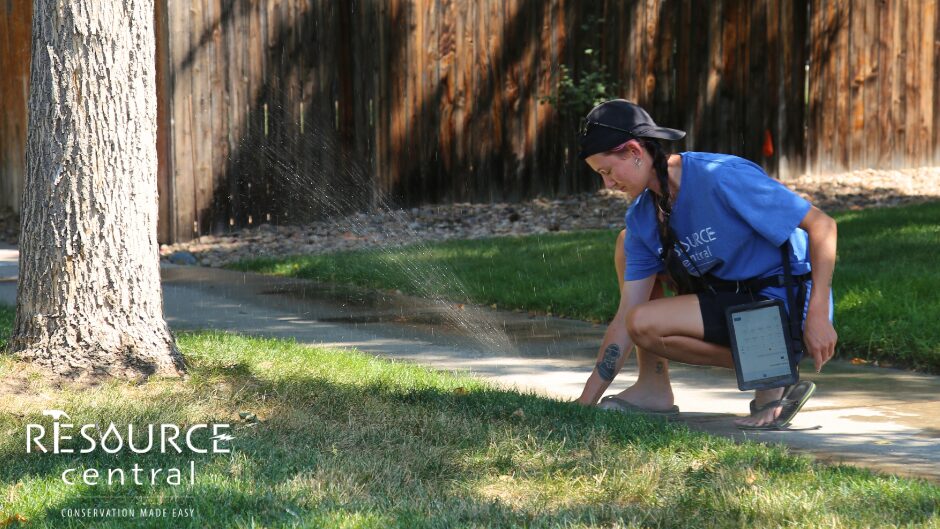 testing-sprinkler-head A sprinkler technician with a backwards baseball hat kneels to adjust a sprinkler watering grass below a tree.