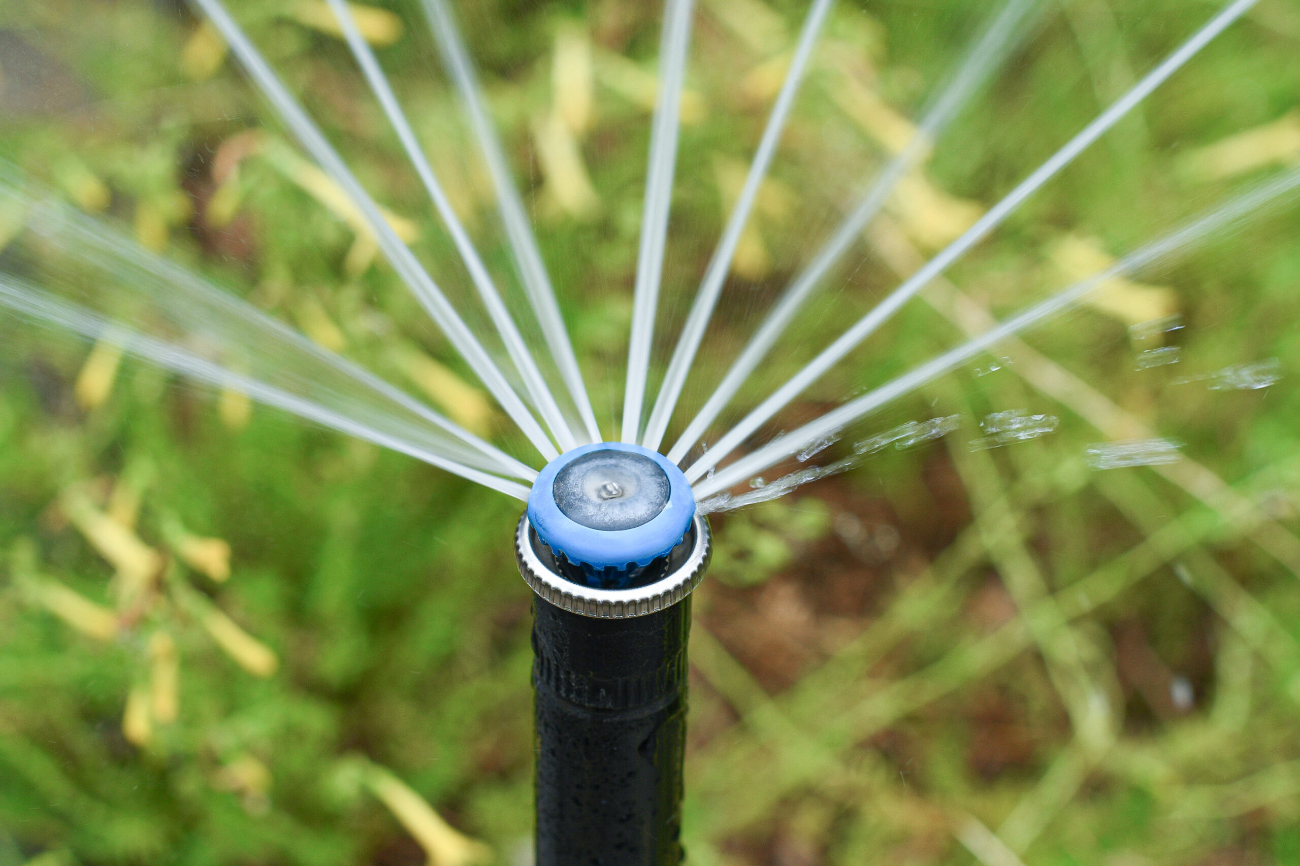 mp-rotator-1 Close-up of sprinkler head spraying water onto green grass.
