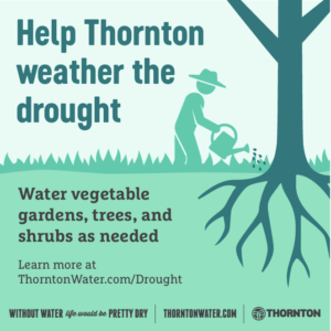 Stage 1 Drought Graphic 3 Graphic of a person watering near the base of a tree with many roots. Text reads: “Help Thornton weather the drought. Water vegetable gardens, trees, and shrubs as needed. Learn more at ThorntonWater.com/Drought. Without water life would be pretty dry, ThorntonWater.com, Thornton.”
