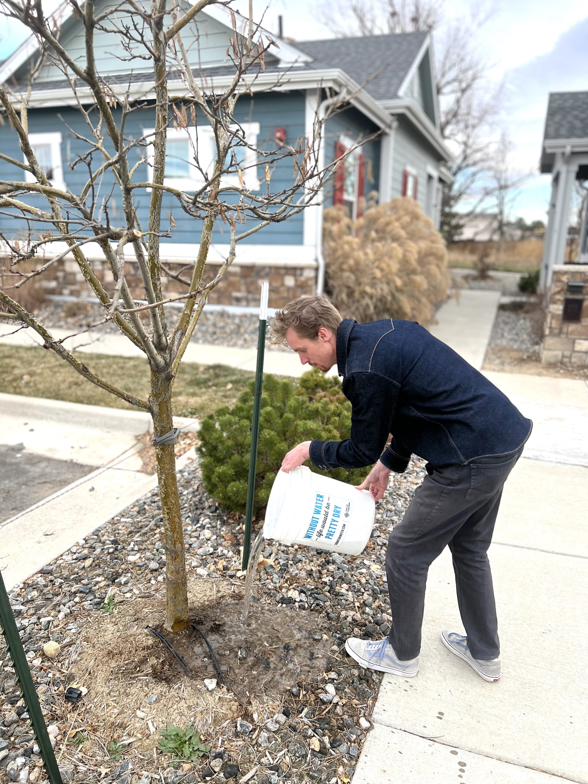 winter-tree-watering Person holding a bucket and watering mulch at the base of a tree.