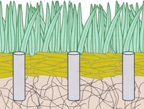 cmg-gn-turf-management-fig3 An illustrated diagram of grass showing aeration holes extending through green grass and a yellow thatch layer into the soil below.