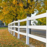 A white fence stretches alongside a road, bordered by grassy ground covered in fallen yellow autumn leaves beneath vibrant yellow trees.