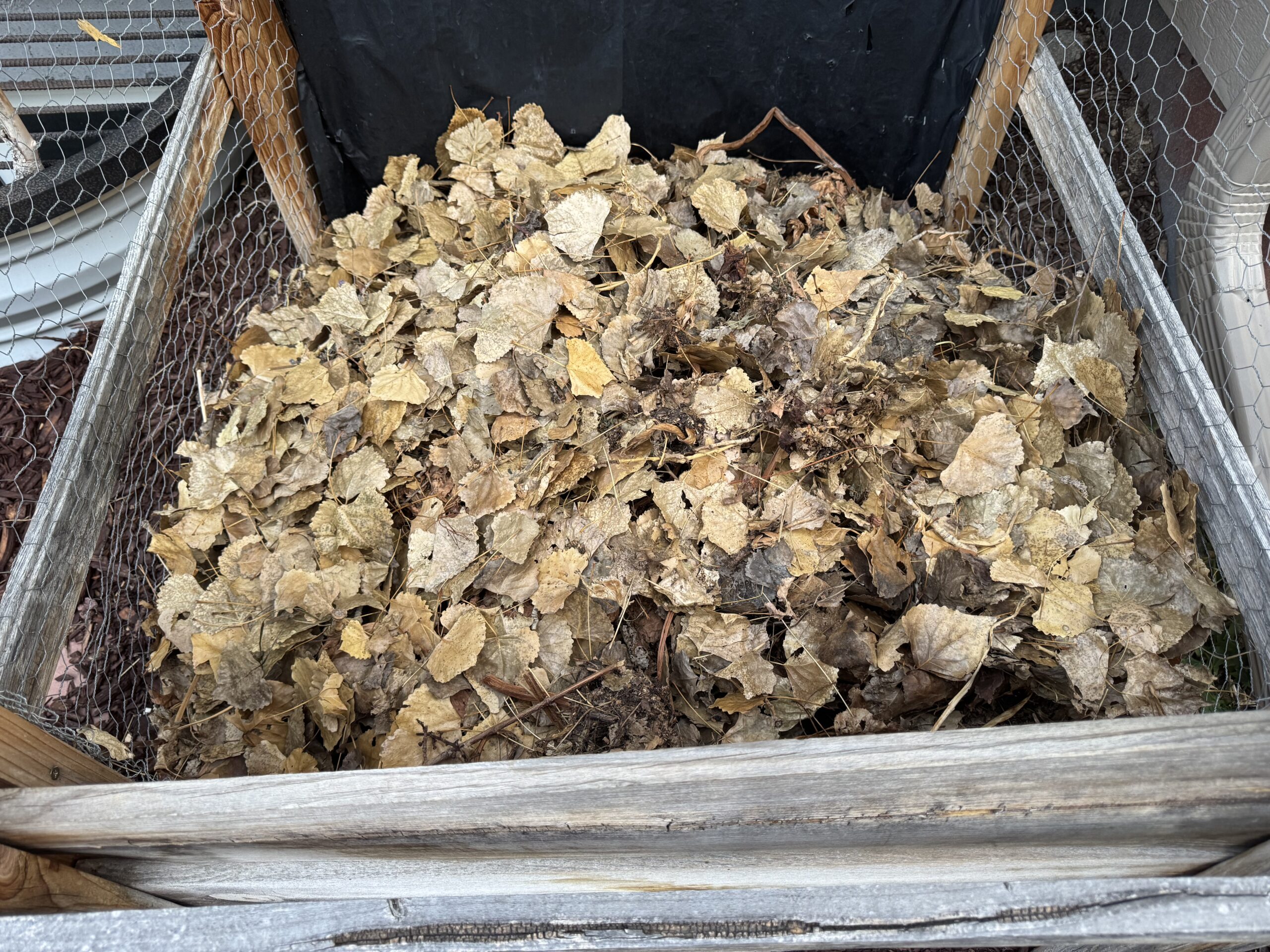img_6848 A outdoor wooden compost bin filled with dried leaves and plant matter.