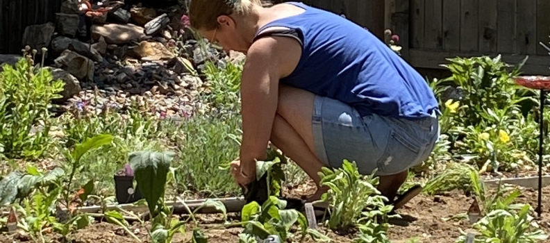 Gardening is Good