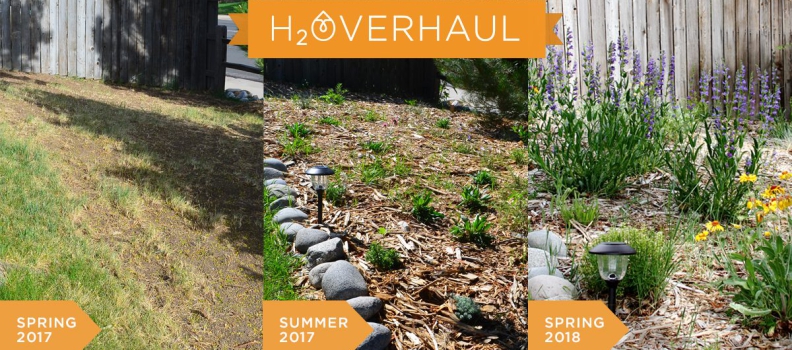 H2Overcoming Landscape Barriers