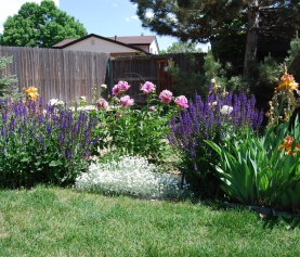 Planning A WaterWise Landscape