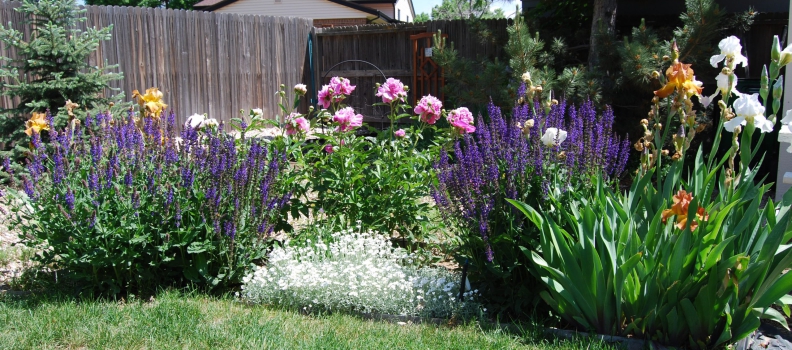 Planning A WaterWise Landscape
