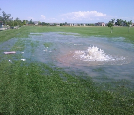 Finding and Fixing Leaks