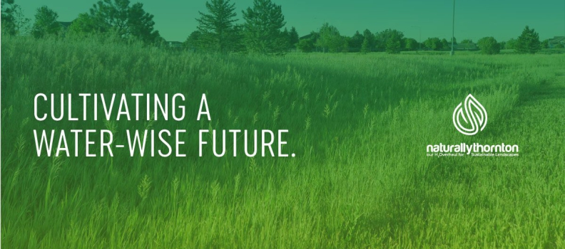 Introducing Naturally Thornton – Our H2Overhaul for Sustainable Landscapes